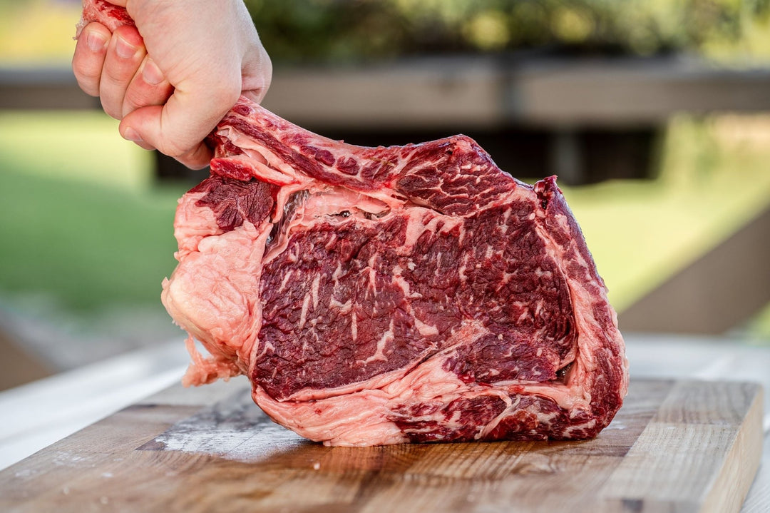Grass Fed vs Grain Fed